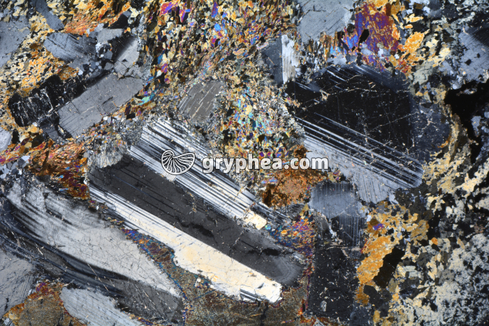 Métagabbro à Hornblende LPA x3,5 - gryphea.com